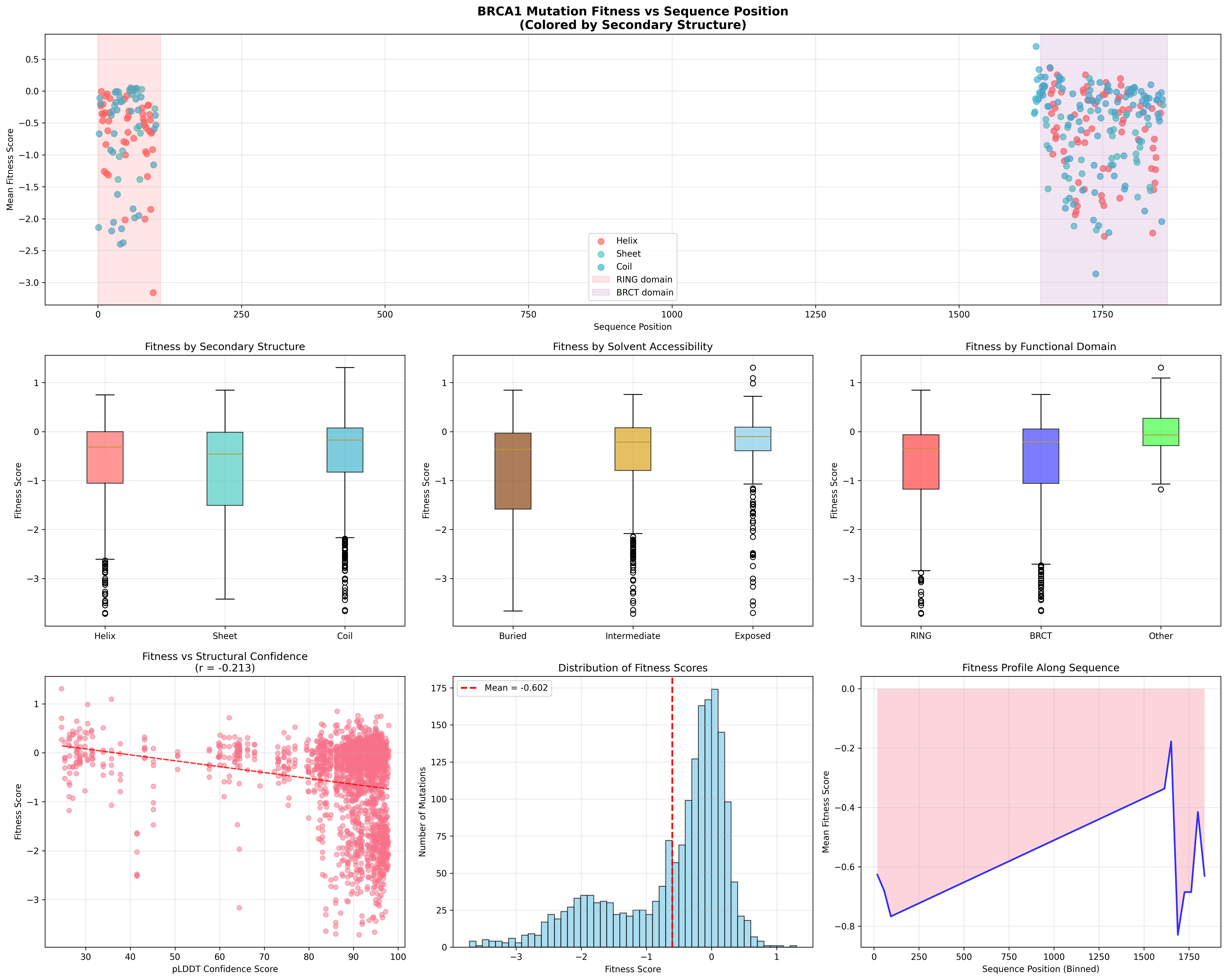BRCA1 Structure-Fitness Analysis